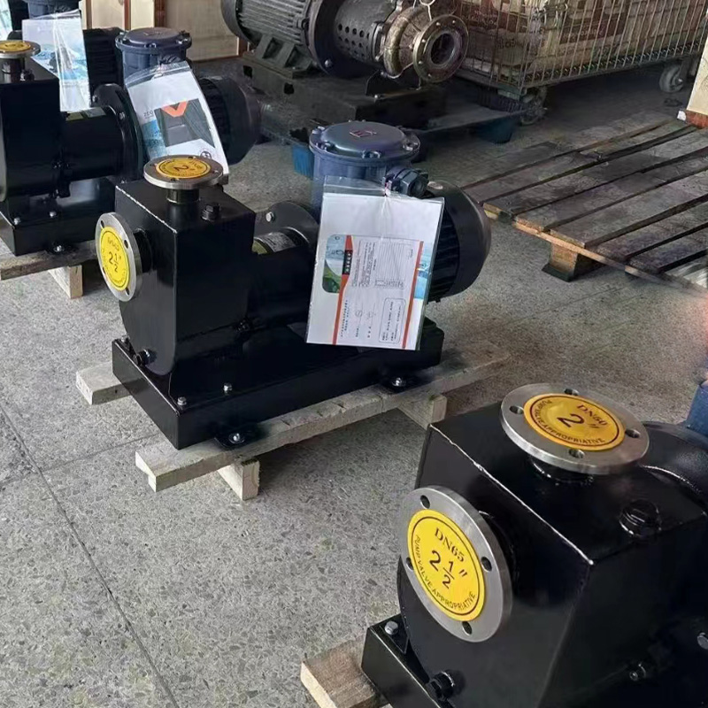 ZCQ manyetik kendi kendini destekleme pompası